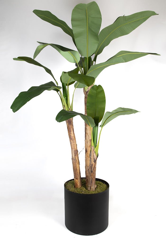 Yapay Muz Ağacı Tropikal 280cm