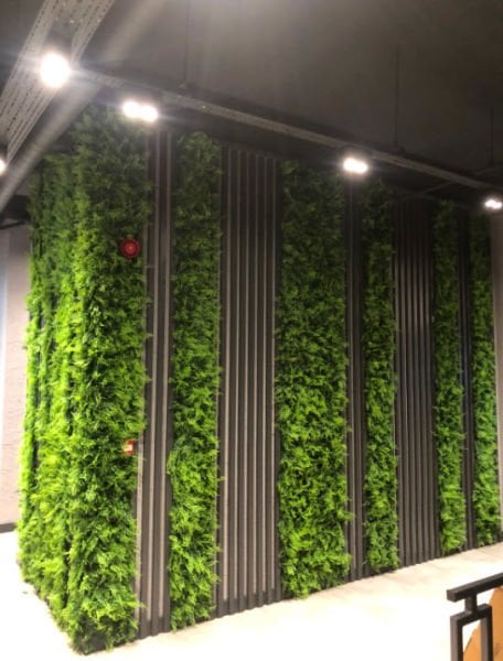 Yapay Sarmaşık - Lux Dikey Bahçe