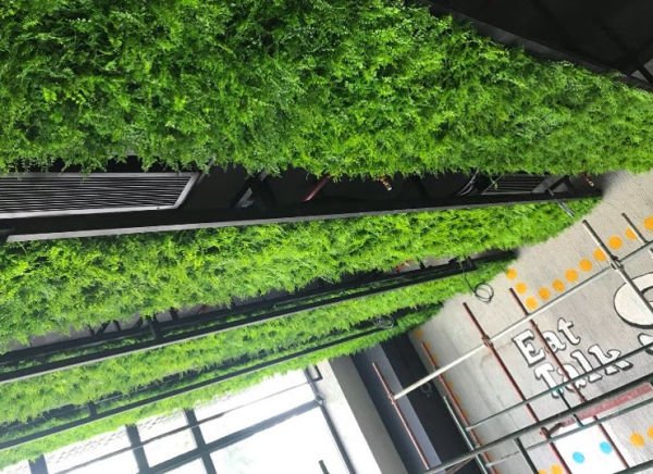 Yapay Sarmaşık - Lux Dikey Bahçe