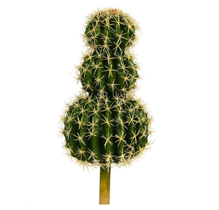 3'lü Top Kaktüs - 40cm