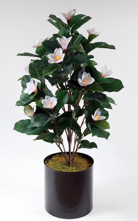 Yapay Manolya Ağacı 150cm