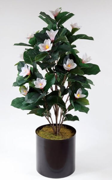 Yapay Manolya Ağacı 150cm