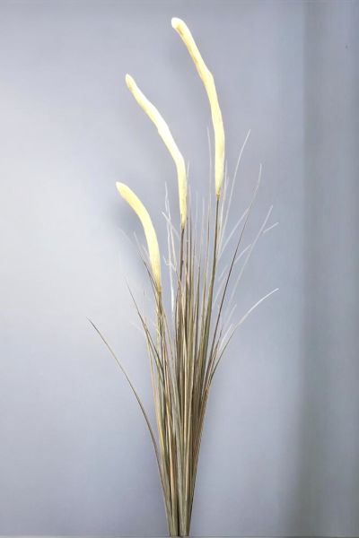 İthal Yapay Pampas Sazlık Krem 140cm