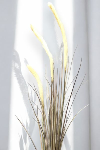 İthal Yapay Pampas Sazlık Krem 140cm