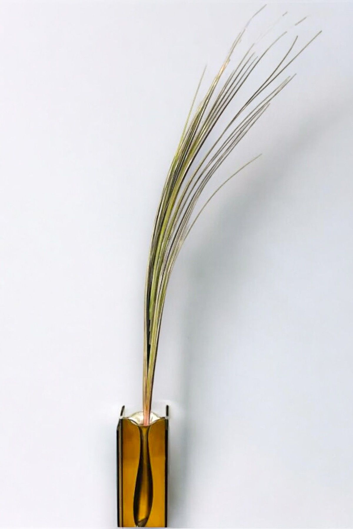 İthal Yapay Pampas Sazlık 108cm