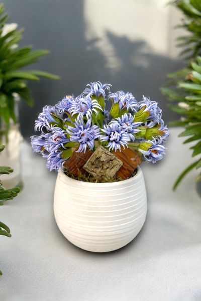 Dekoratif Aranjman Elegance