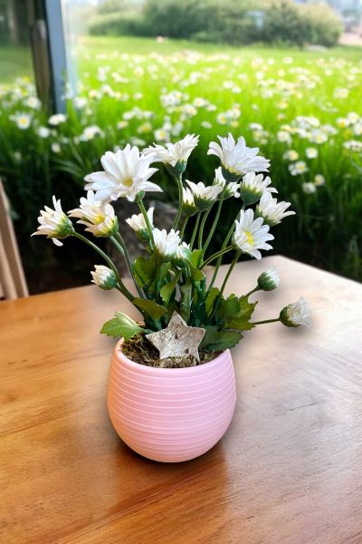 Dekoratif Aranjman Papatya