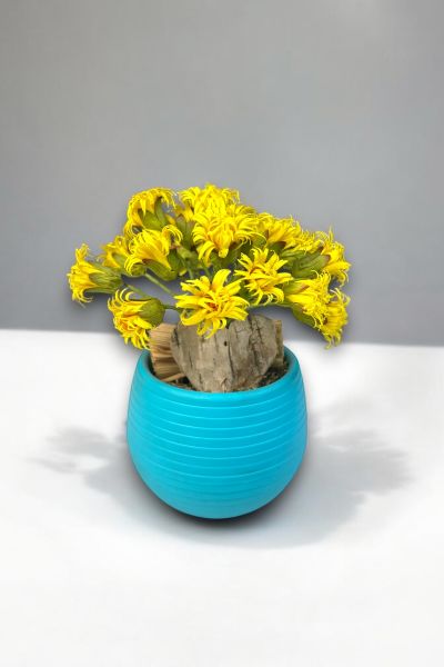 Dekoratif Aranjman Aqua