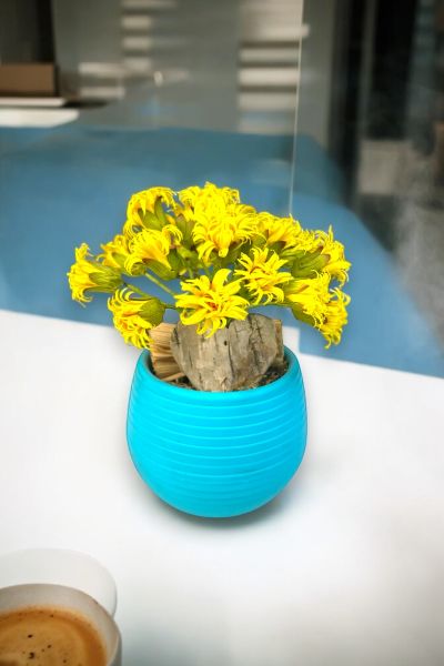 Dekoratif Aranjman Aqua