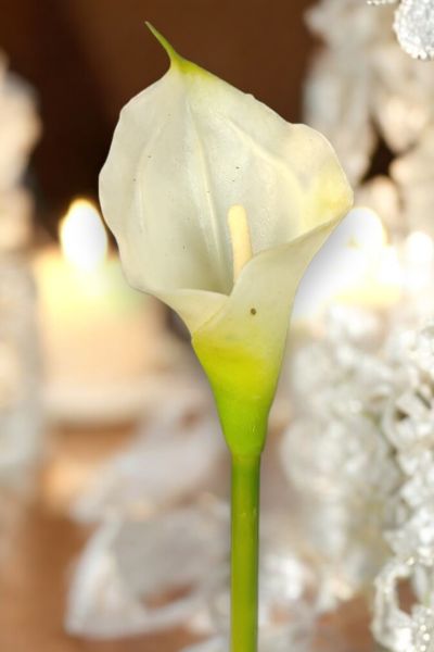 Yapay Çiçek Gala Beyaz 35cm