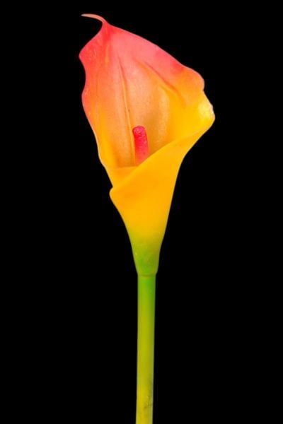 Yapay Çiçek Gala Turuncu 35cm