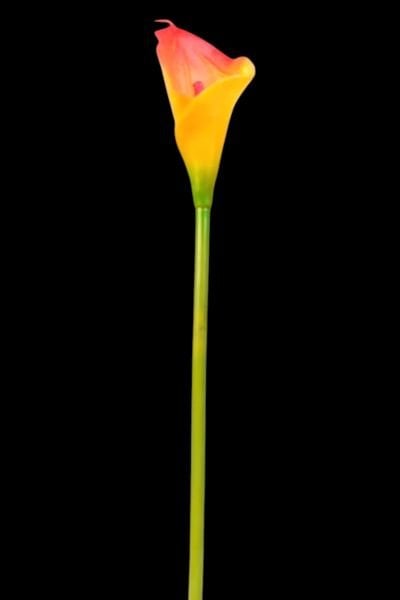 Yapay Çiçek Gala Turuncu 35cm