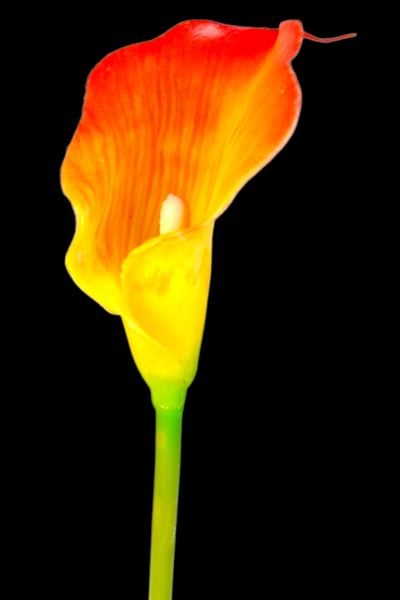 Yapay Çiçek Gala Turuncu 55cm