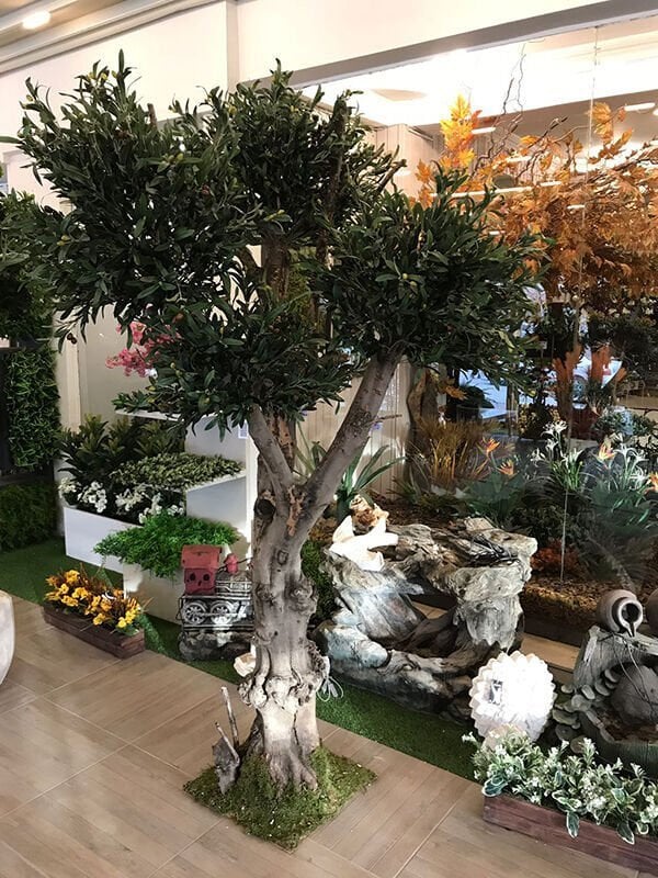 Zeytin Ağacı 220cm