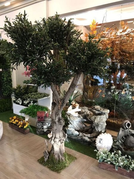 Zeytin Ağacı 220cm