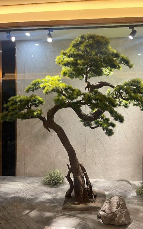 Bonsai Ağacı 250cm