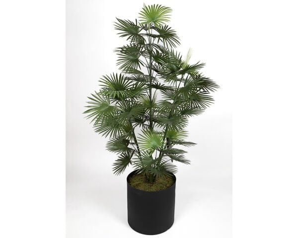 UV Fan Palmiye 170cm