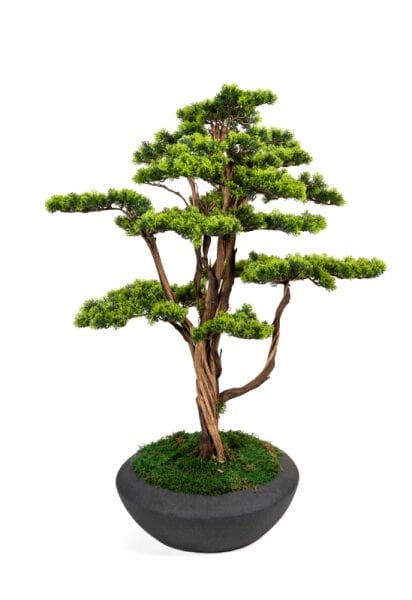Yapay Bonsai Ağacı 120cm - Saksılı