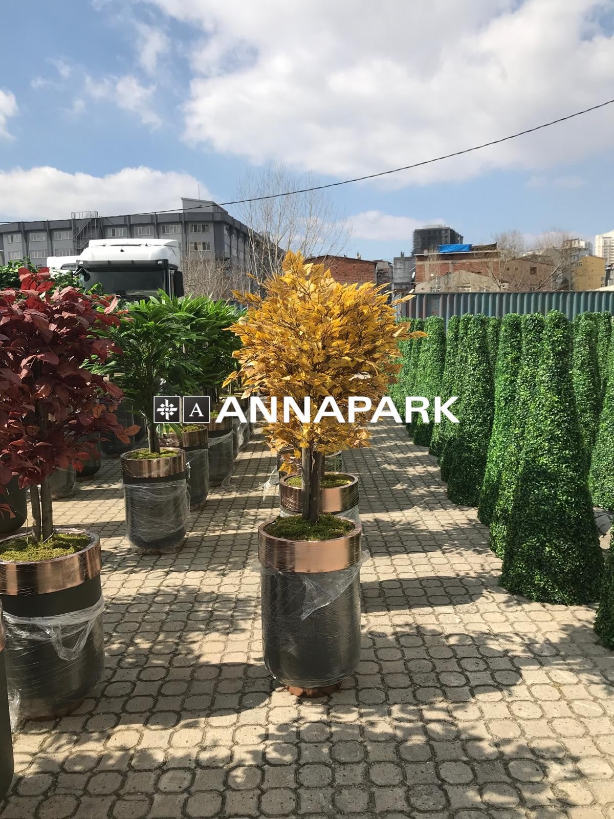 restoran seperatör saksı