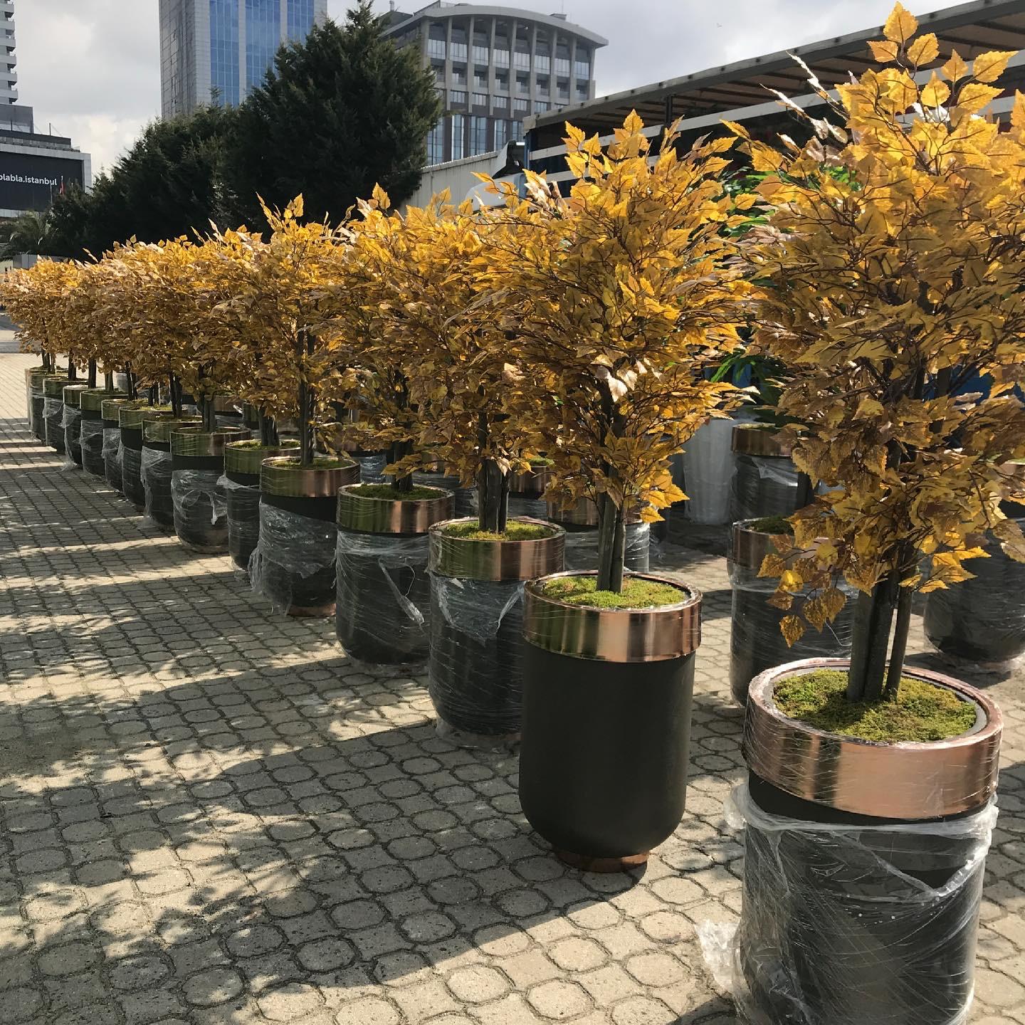 Peyzaj ve Mimari İçin Fiber Saksı