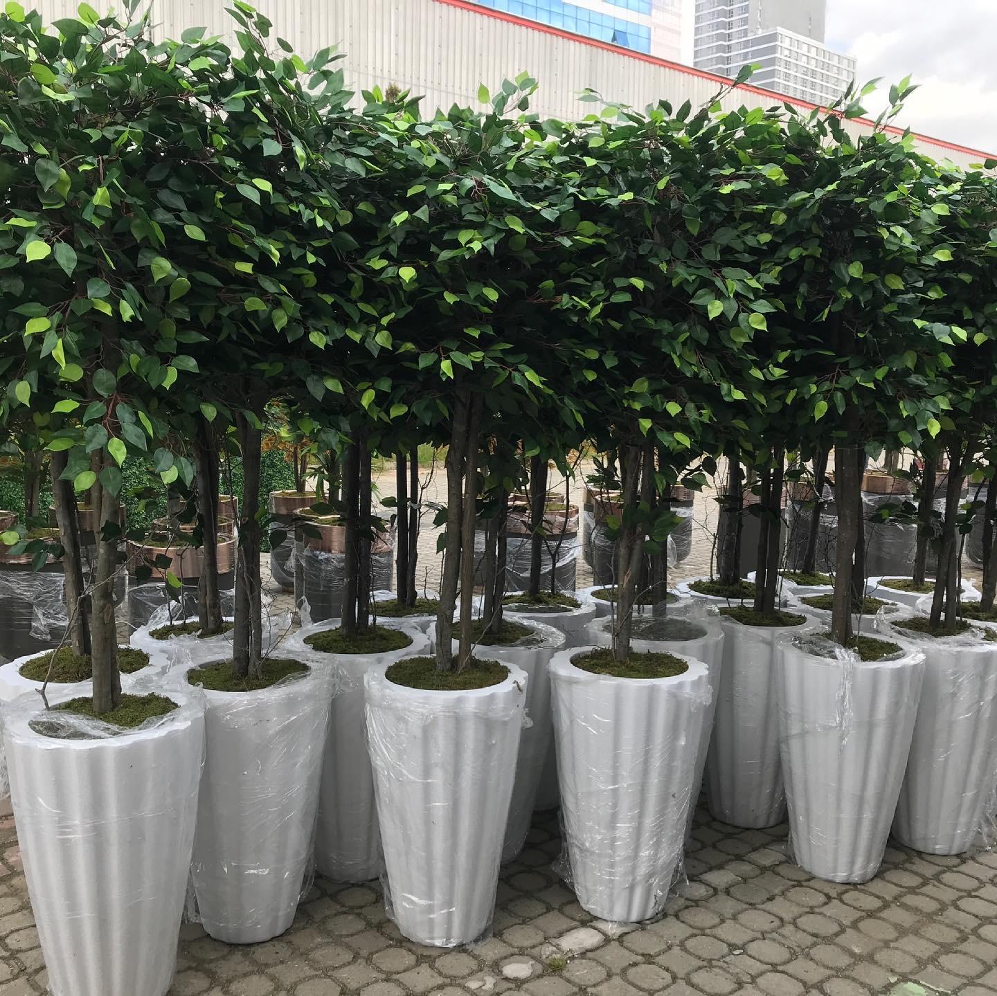 Otel ve AVM İçin Fiberglass Saksı