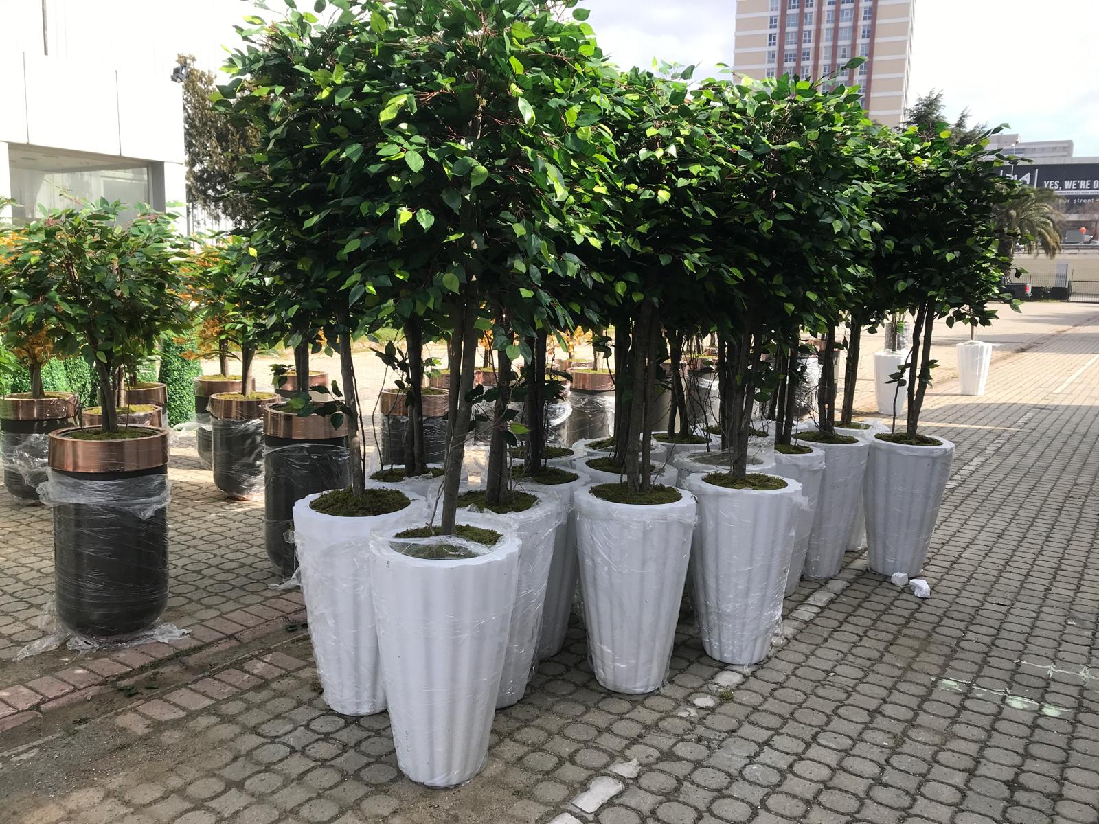 Bahçe ve Teras İçin Fiber Saksı