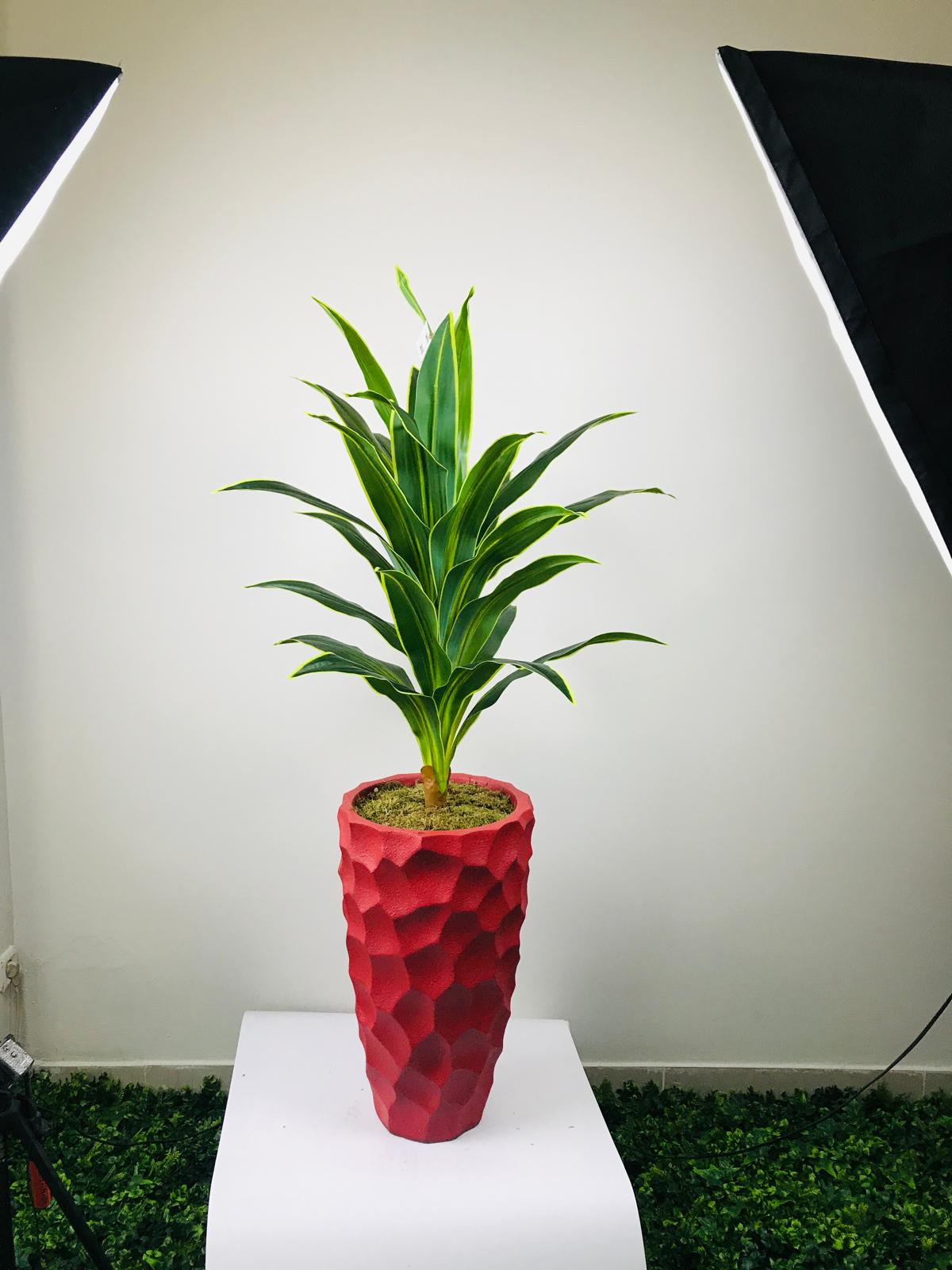 Hafif ve Estetik Dekoratif Saksı