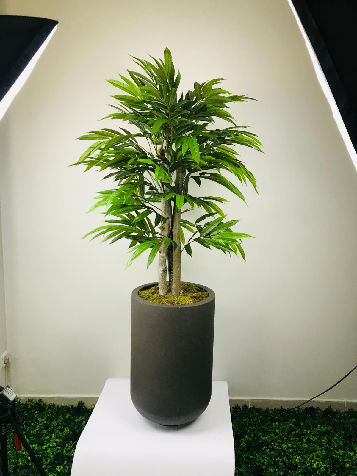 Uzun Ömürlü Fiber Saksı Tasarımları