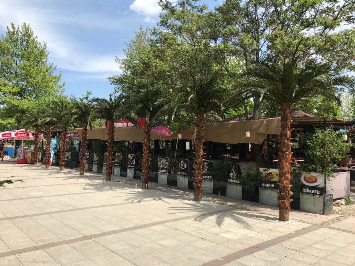 Kafe dış mekânında sıralı yapay palmiye dekorasyonu