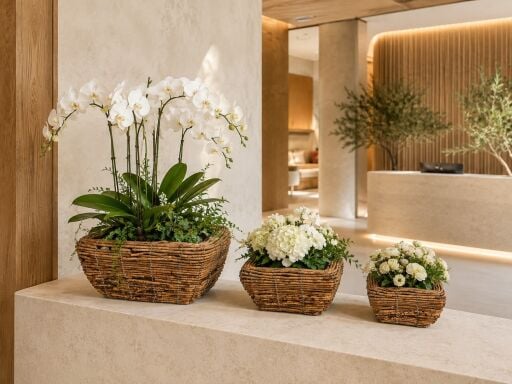 Otel lobi spa ve restoran dekorasyonu için hasır saksılar