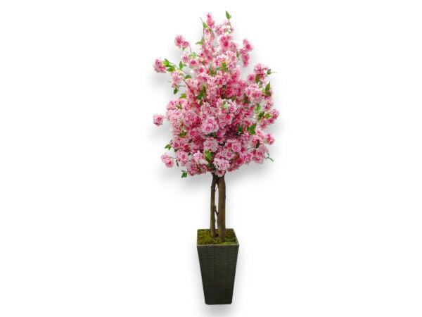 Rattan Saksılı Yapay Ağaç - Doğal Gövdeli Sakura 220 cm