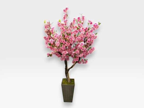 Geniş Taçlı Sakura Yapay Ağaç 230 cm - Rattan Saksılı