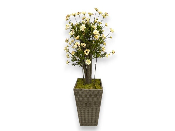 Çoklu Gövdeli Krem Margrit Papatya Yapay Ağaç 100 cm - Rattan Saksılı