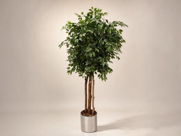 Doğal Gövdeli Yeşil Ficus Yapay Ağacı 190 cm - Metal Saksılı