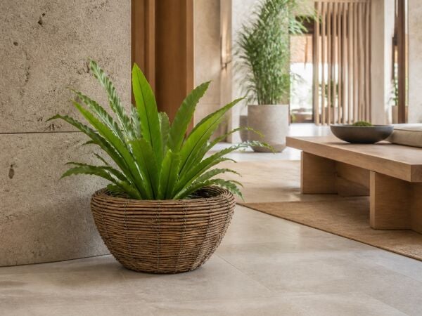 Dekoratif Hasır Saksı SW23539