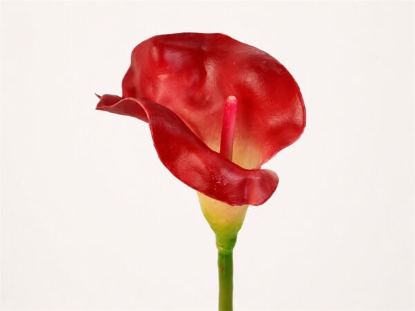 Yapay Gala Çiçeği Islak Dokulu 65 cm Kırmızı