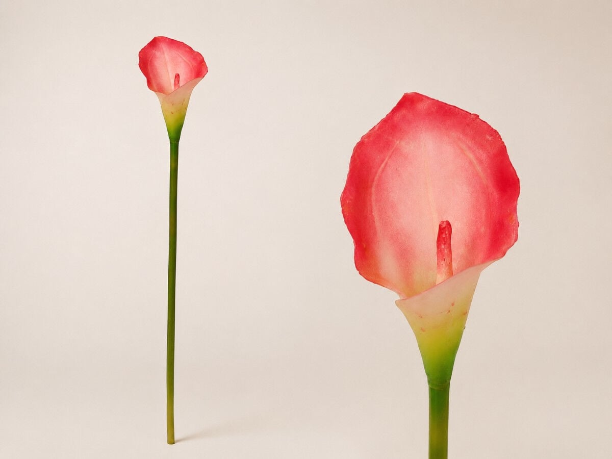 Yapay Gala Çiçeği Islak Dokulu 35 cm Pembe
