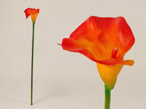 Yapay Gala Çiçeği Islak Dokulu 65 cm Turuncu