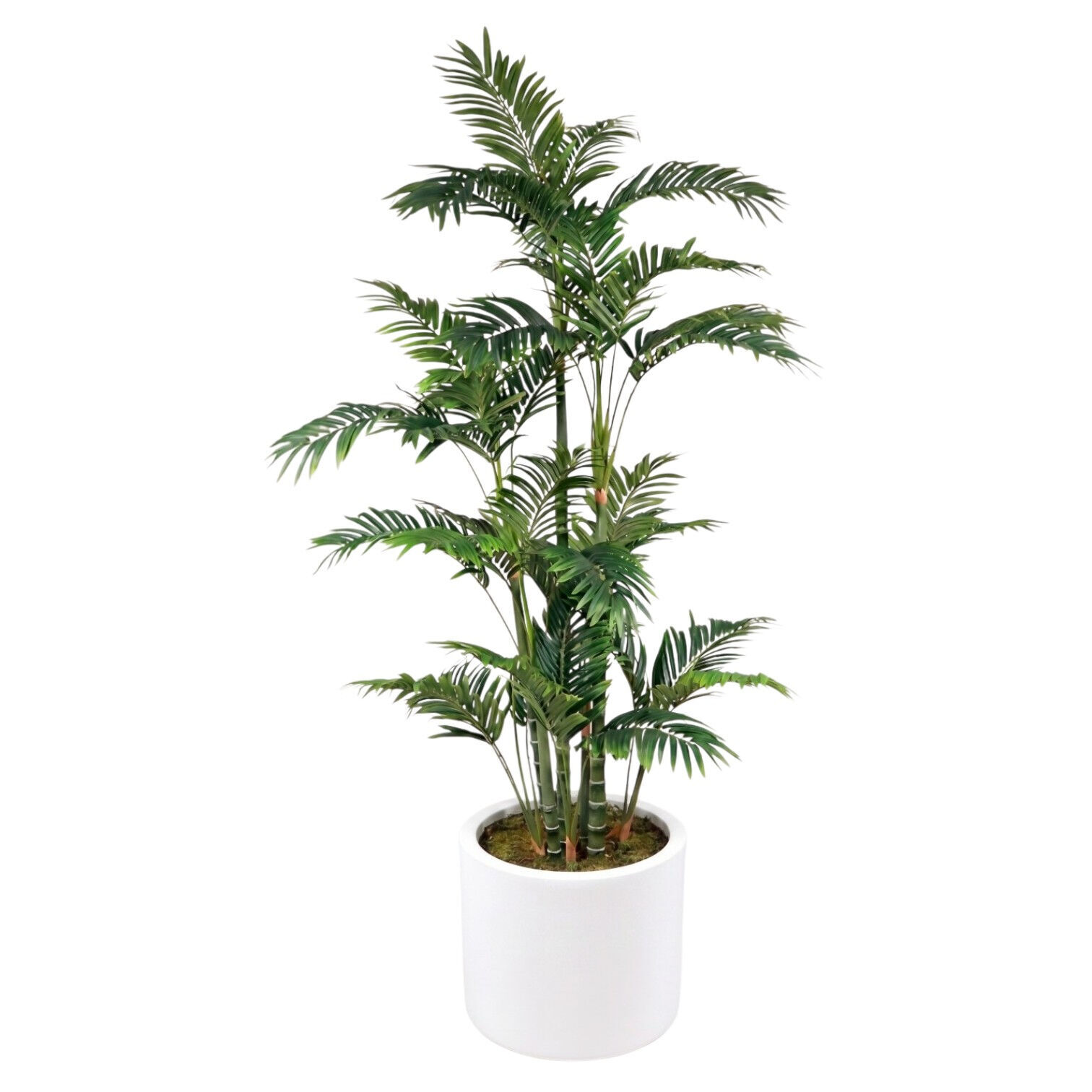 180 cm Yapay Areka Palmiye - Saksısız