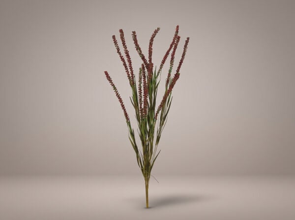 Yapay Başak Dalı 75 cm Bordo