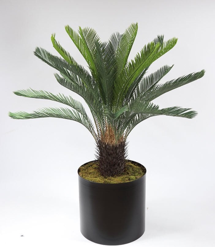 Yapay Cycas Palmiye Sikas Palmiye 110cm