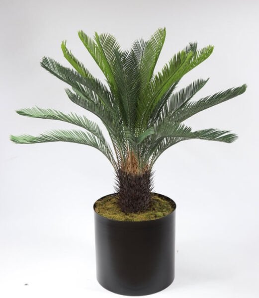 Yapay Cycas Palmiye Sikas Palmiye 110cm