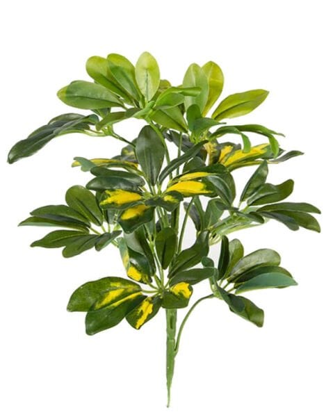 Yapay Bitki Schefflera