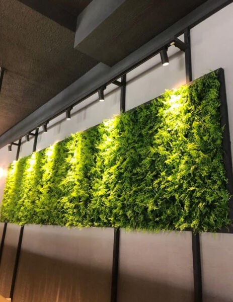 UV Korumalı Lux Dikey Bahçe 50x50 cm - Fern