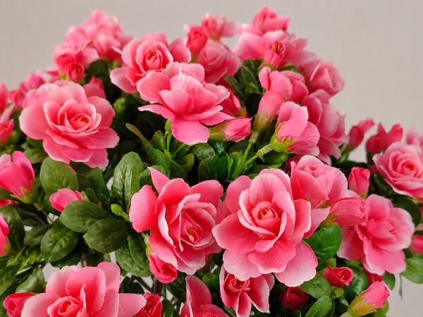 Yapay Açelya Ağacı Pembe 65 cm