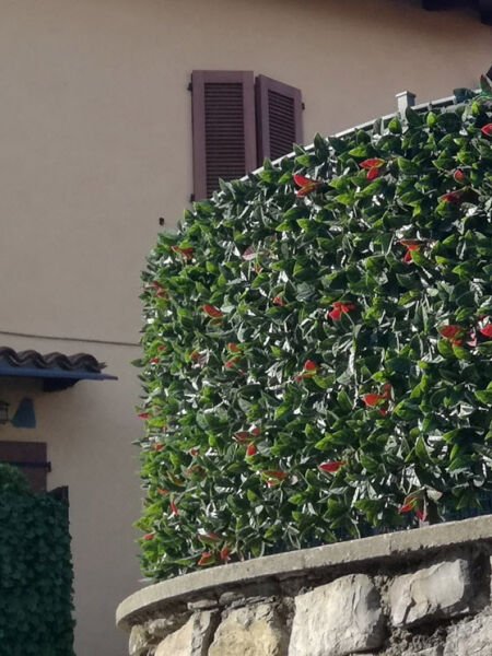 Yapay Sarmaşık Dikey Bahçe Yoğun Yaprak Fitonya / Alev Çalısı - 100x100cm