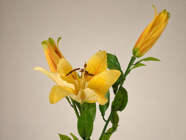 Yapay Lilyum Zambak Dalı 100 cm Sarı
