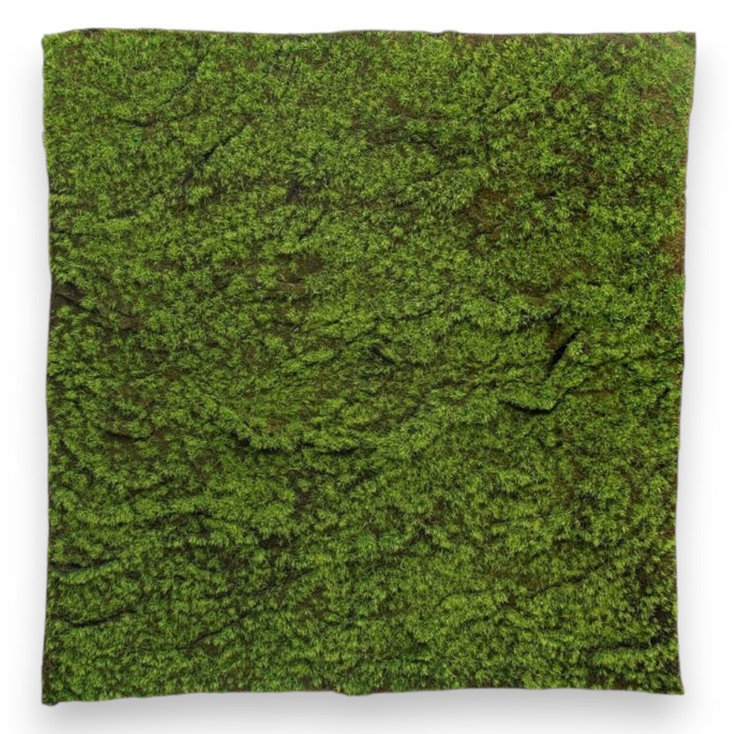 Yapay Yosun - UV Moss 100x100cm