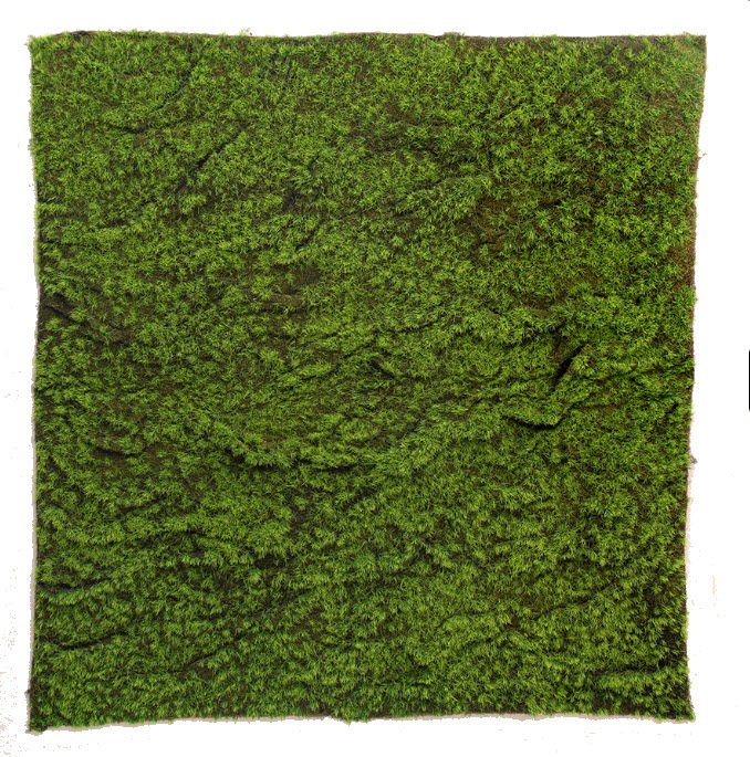 Yapay Yosun - UV Moss 100x100cm