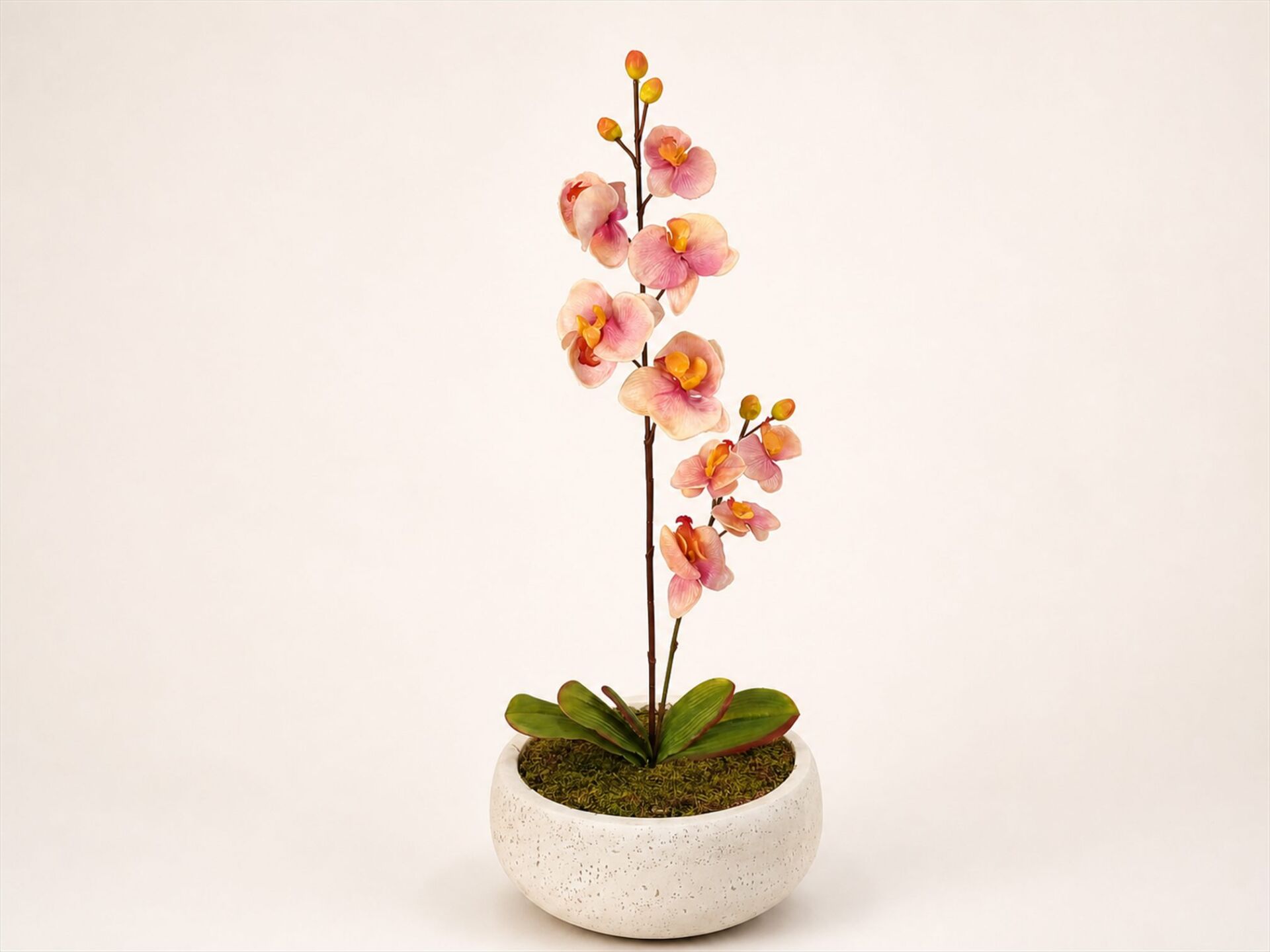 Yapay Orkide Aranjmanı 70 cm – Fiber Saksılı Pembe